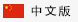 中文版